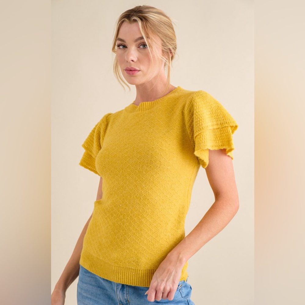 And The Why Double Layered Ruffle Sleeves Sweater Top